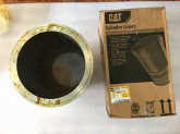 2117826-cat