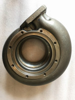 3724162-cat-6