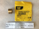 4613784-cat-3