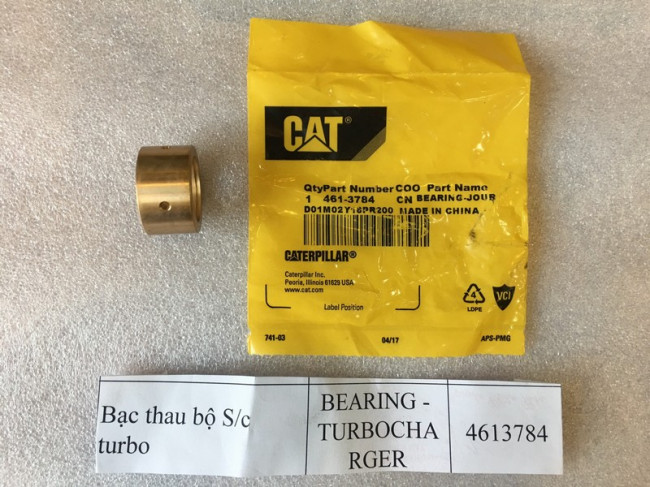 4613784-cat-3