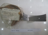 bac-truc-bearing-oe51058ff