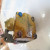 bec-phun-dien-tu-p200h-injector-10000-12393-934-972-dp-bn-994-052-3