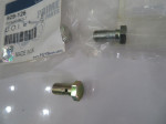 bulong-duong-nhien-lieu-hoi-p300-banjo-bolt-929-126-cv20523-2