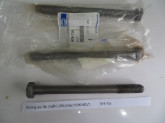 bulong-qui-lat-ngan-p200-bolt