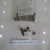 can-dem-lo-xo-voi-phun-washer-902-911