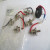 diot-may-phat-kich-tu-diot-set-40a-1200v-rsk5001-2
