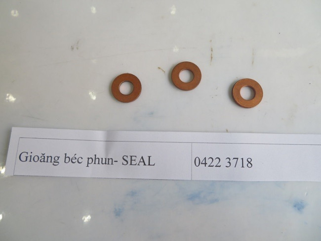 gioang-bec-phun-seal-0422-3718