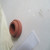 gioang-git-cao-su-valve-cover-bolt-seal-33817135-2