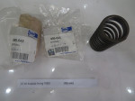 lo-so-suppap-trong-p300-spring-995-645